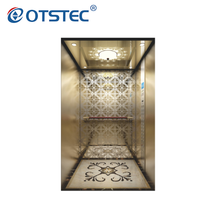 Титанюм выгравированный зеркалом лифт дома современного дизайна нержавеющей стали